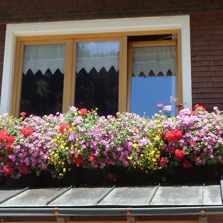 Haus Annelies 公寓 Au (Bregenz)