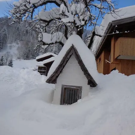 Apartmán Haus Annelies Au (Bregenz)